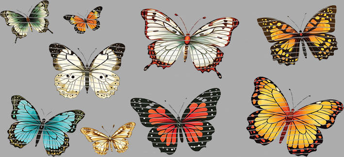 16oz Element-EN-2329